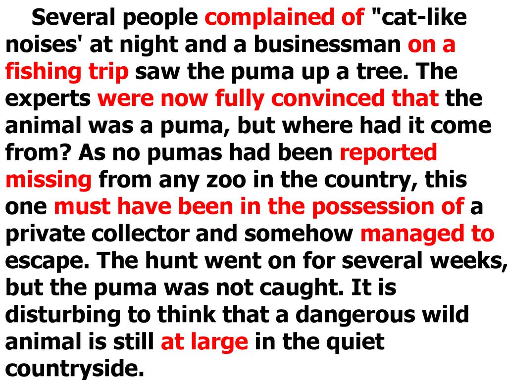Lesson 1 A Puma at large . ppt download